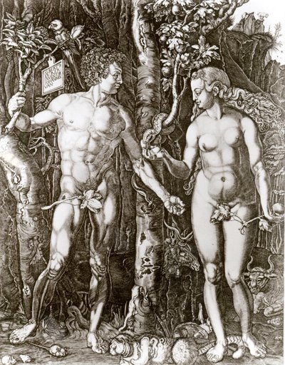 Adam and Eve, after Albrecht Durer by Johann Ladenspelder